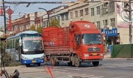 杞县黄村车祸最新爆料新闻,悲剧现场细节披露，伤亡情况引关注