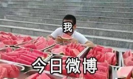 吃瓜网红事件最新消息,最新进展揭秘，真相逐渐浮出水面