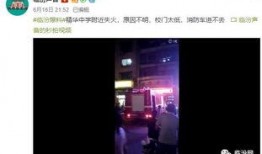 爆料视频怎么发容易火,如何通过爆料视频迅速走红