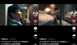 姐夫哥最新爆料在线观看,揭秘娱乐圈幕后真相，在线观看不容错过！