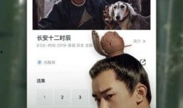 草草在线观看视频,揭秘热门视频背后的精彩故事