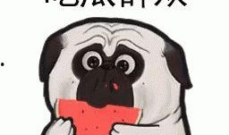 穿成傻子吃大瓜免费阅读,穿越古代吃瓜日常