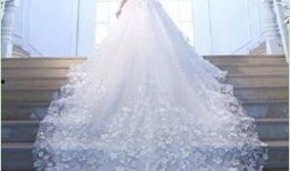 西安婚纱爆料新闻最新,最新爆料揭露惊人内幕