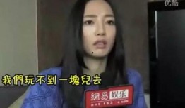 娱乐爆料白百何事件视频,真相与争议再引热议