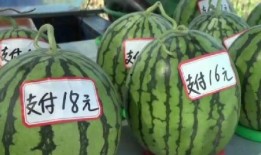 汾阳吃瓜爆料新闻