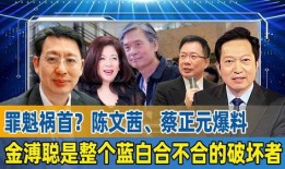 蔡正元最新爆料,揭秘重大事件背后惊人真相
