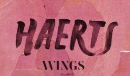 wings在线观看,在线观看，探索青春热血的飞翔之旅