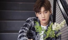 刘大锤最新爆料邢昭林