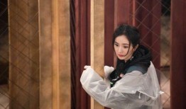 杨幂艾伦最新爆料,揭秘娱乐圈背后的惊人真相