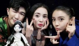 男闺蜜博主娱乐圈爆料,男闺蜜博主爆料幕后真相