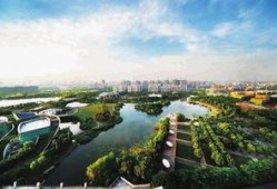 新江湾城最新爆料新闻视频