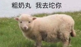 网红小羊吃瓜群微博是真的吗,事实真相大起底