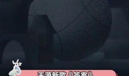 王源追光爆料视频,揭秘青春偶像的追梦历程