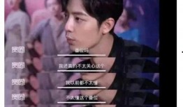 爆料阿飞肖战事件视频完整版,揭秘背后真相与争议