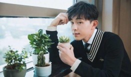 邓伦谁爆料的啊最近新闻,揭秘近期热点背后的真相