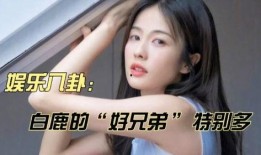 白鹿娱乐八卦每日爆料,揭秘明星幕后故事，每日新鲜爆料来袭！