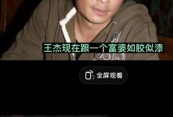 王杰加拿大爆料视频