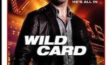 致胜王牌在线观看八哥,致胜王牌背后的传奇故事