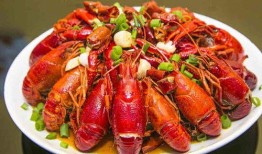 《龙虾》在线观看,一场关于爱情与自由的奇幻之旅