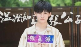 张真源私生爆料视频,揭秘明星私生活背后的真相