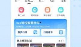 驾校视频爆料大全下载软件,揭秘学车那些事儿