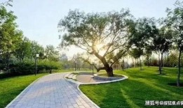 成都公园舆论爆料案例最新