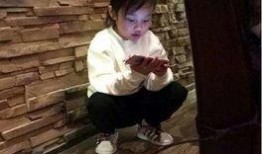 贾乃亮爆料包饺子视频大全,温馨家庭生活引网友热议