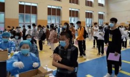 随风视频爆料最新消息,揭秘事件背后惊人真相