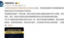 爆料缅北明星视频大全,一场视觉与道德的碰撞