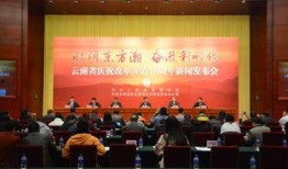 新闻爆料云南,揭秘神秘事件背后的真相