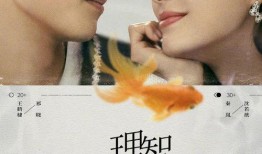 秦岚王鹤棣爆料视频播放,幕后故事大揭秘