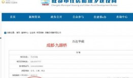 天府最新爆料,揭秘神秘项目背后的惊人真相