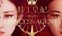 特工王妃在线观看,穿越时空的神秘邂逅