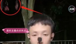 小鬼直播爆料视频,独家爆料视频内容大起底