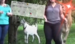 搞笑爆料网友视频大全