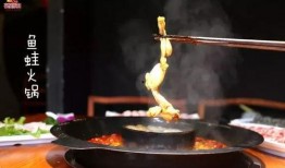 爆料锅教学视频