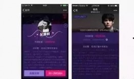 视频爆料要求怎么写文案,带你一探究竟