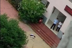 郑州小洋楼爆料视频大全,揭秘历史建筑背后的故事