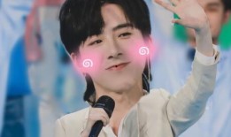 网友爆料刘宇宁事件视频,网友热议背后的真相