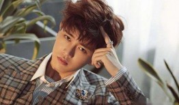 任嘉伦邓伦最新爆料,揭秘演艺圈幕后故事与心路历程