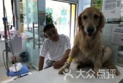 镇江宠物爆料事件最新进展