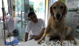 镇江宠物爆料事件最新进展