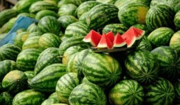 桐桐网红吃瓜,揭秘娱乐圈幕后真相