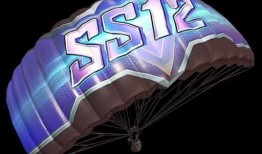 ss12手册最新爆料,揭秘神秘内容与未来趋势