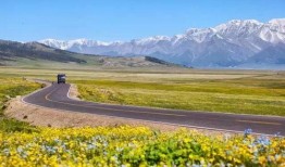 新疆旅游网红爆料视频大全,探寻大美新疆的网红打卡地