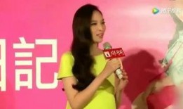 小炳爆料吴佩慈视频播放,真相背后引人深思