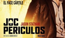 致胜王牌在线观看八哥,致胜王牌背后的传奇故事