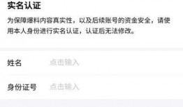 街头爆料视频怎么赚钱的,街头爆料视频如何成为赚钱利器