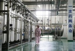 石家庄药厂最新爆料