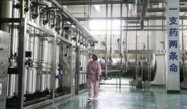 石家庄药厂最新爆料